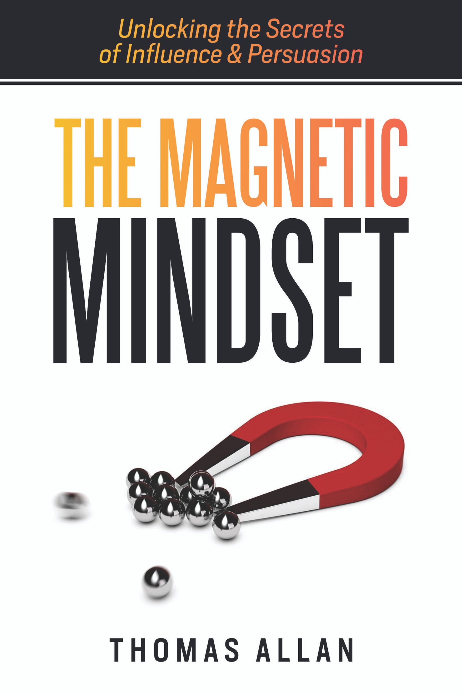 the magnetic mindset ebook